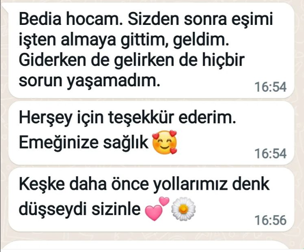 Direksiyon Hakimiyeti